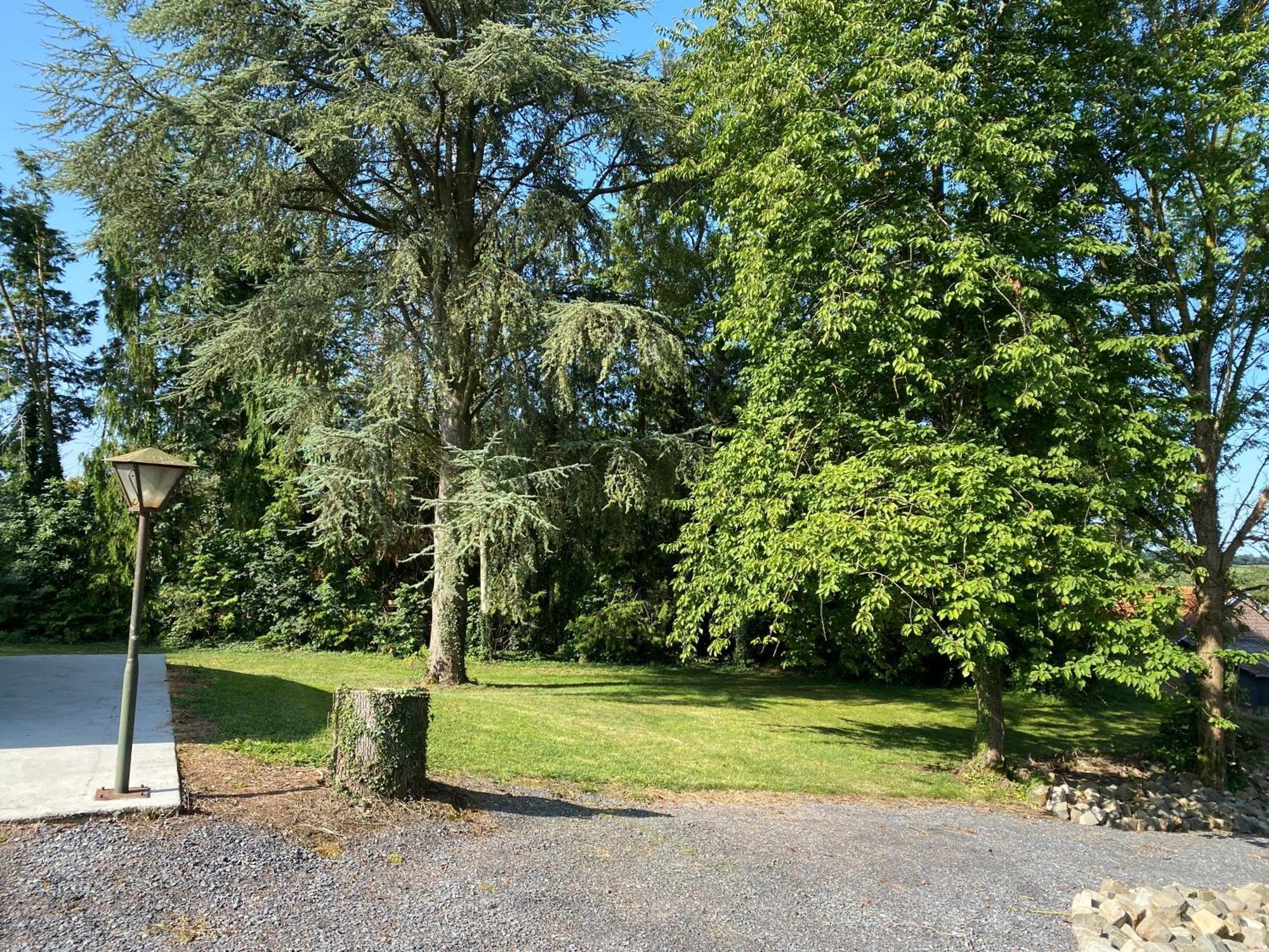 Au Cedre Bleu Villa Carnoy Buitenkant foto